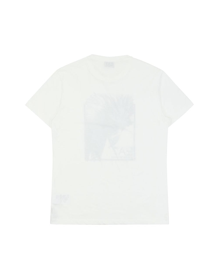 Printed Cotton Round Neck Short Sleeves T-shirt
