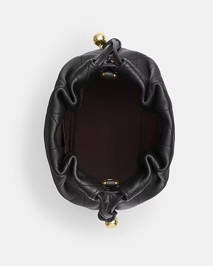 COACH FAYE Quilted Mini Drawstring Bag (CDB69)
