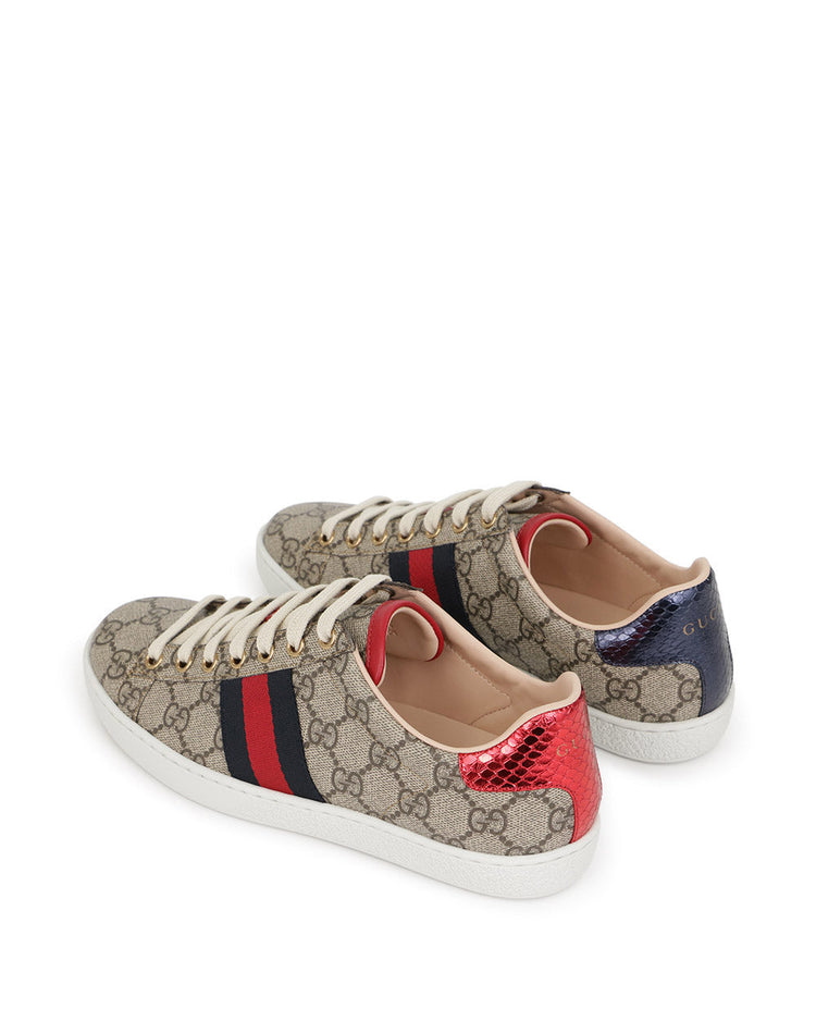 Ace GG Supreme Sneakers
