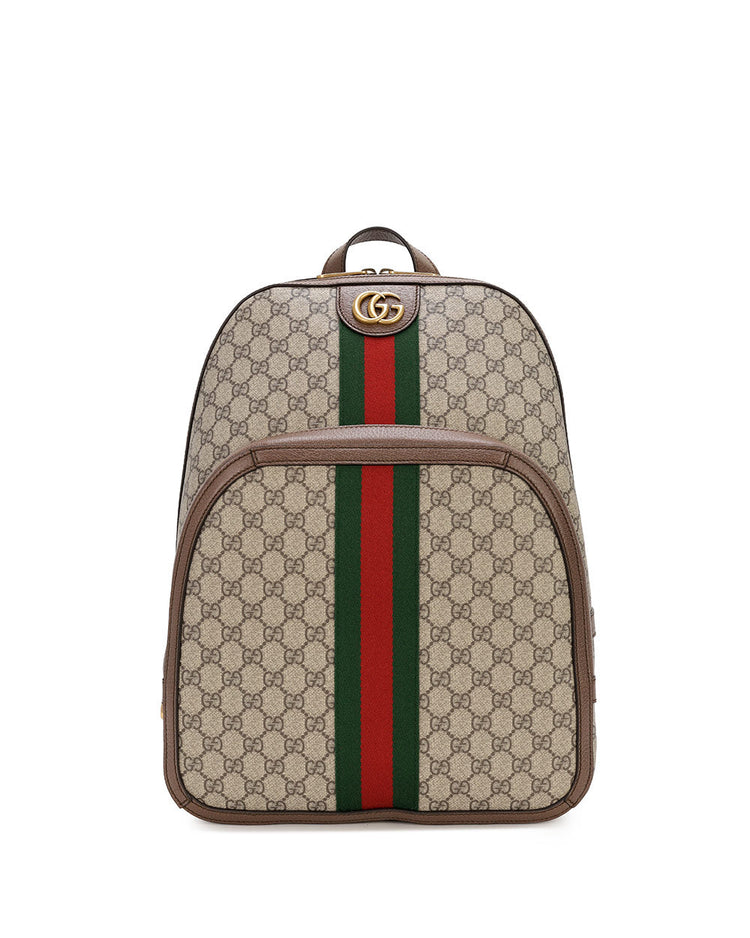 Ophidia GG 中型背包